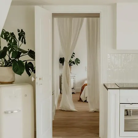 Lachillmaisonnette *