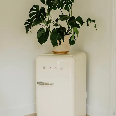 Lachillmaisonnette לבן